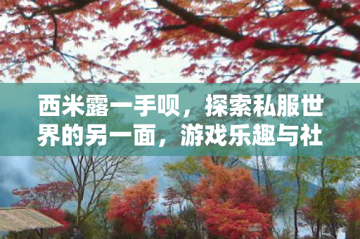 西米露一手呗,探索私服世界的另一面,游戏乐趣与社区文化的交织 西米露一手呗,探索私服世界的另一面,游戏乐趣与社区文化的交织