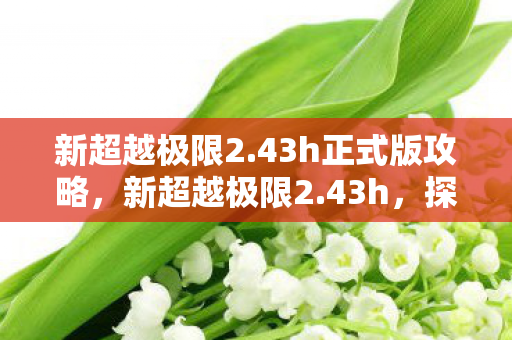 新超越极限2.43h正式版攻略,新超越极限2.43h,探索游戏速度的新境界 新超越极限2.43h正式版攻略,新超越极限2.43h,探索游戏速度的新境界