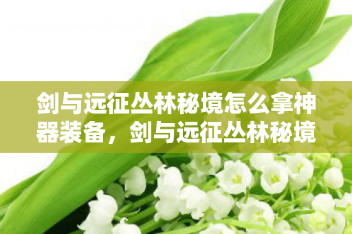 剑与远征丛林秘境怎么拿神器装备,剑与远征丛林秘境怎么拿神器 剑与远征丛林秘境怎么拿神器装备,剑与远征丛林秘境怎么拿神器