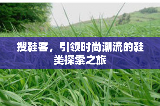 搜鞋客,引领时尚潮流的鞋类探索之旅 搜鞋客,引领时尚潮流的鞋类探索之旅