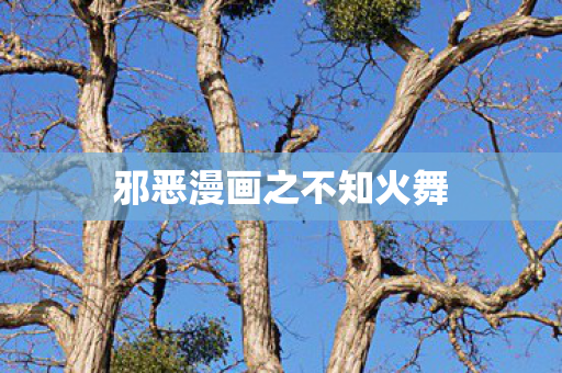邪恶漫画之不知火舞