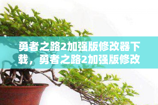 勇者之路2加强版修改器下载，勇者之路2加强版修改器，解锁无限可能的冒险之旅