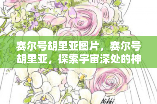 赛尔号胡里亚图片，赛尔号胡里亚，探索宇宙深处的神秘力量