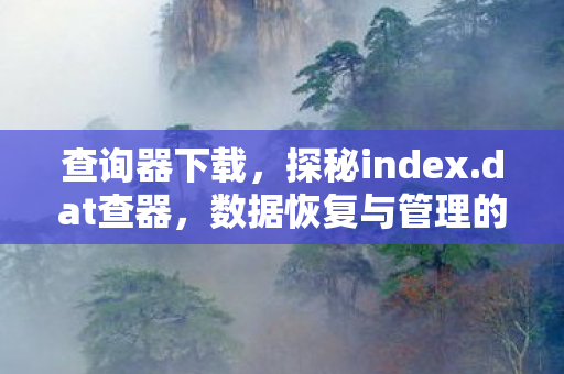 查询器下载,探秘index.dat查器,数据恢复与管理的得力助手 查询器下载,探秘index.dat查器,数据恢复与管理的得力助手