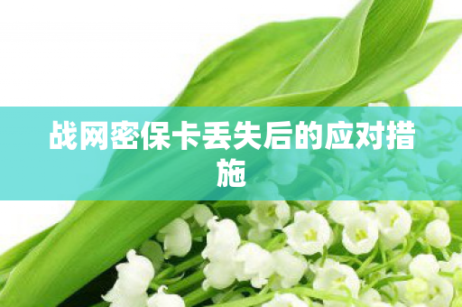 战网密保卡丢失后的应对措施 战网密保卡丢失后的应对措施