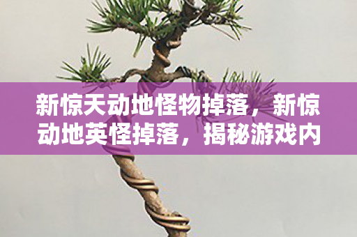 新惊天动地怪物掉落，新惊动地英怪掉落，揭秘游戏内稀有道具的珍贵与获取途径
