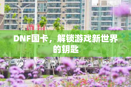 DNF国卡,解锁游戏新世界的钥匙 DNF国卡,解锁游戏新世界的钥匙