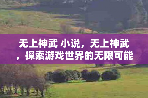 无上神武 小说,无上神武,探索游戏世界的无限可能 无上神武 小说,无上神武,探索游戏世界的无限可能