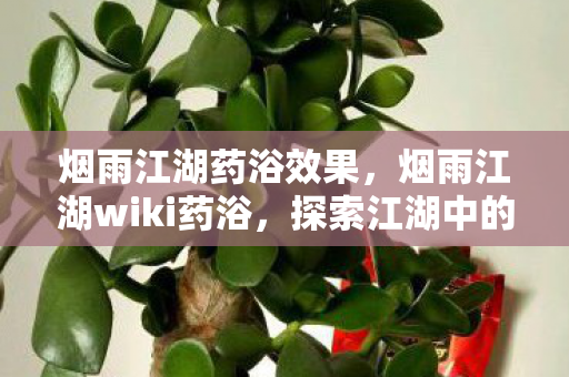 烟雨江湖药浴效果,烟雨江湖wiki药浴,探索江湖中的神秘药浴 烟雨江湖药浴效果,烟雨江湖wiki药浴,探索江湖中的神秘药浴