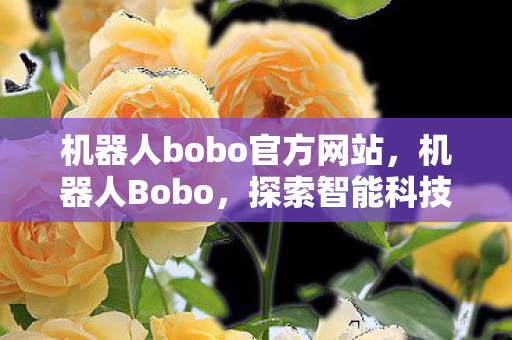 机器人bobo官方网站,机器人Bobo,探索智能科技,引领未来生活 机器人bobo官方网站,机器人Bobo,探索智能科技,引领未来生活