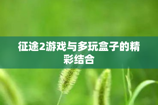 征途2游戏与多玩盒子的精彩结合 征途2游戏与多玩盒子的精彩结合