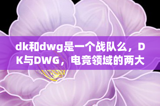 dk和dwg是一个战队么,DK与DWG,电竞领域的两大巨头,谁将主宰未来? dk和dwg是一个战队么,DK与DWG,电竞领域的两大巨头,谁将主宰未来?