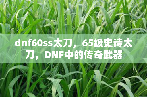 dnf60ss太刀，65级史诗太刀，DNF中的传奇武器