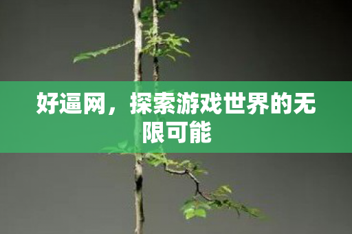 好逼网,探索游戏世界的无限可能 好逼网,探索游戏世界的无限可能