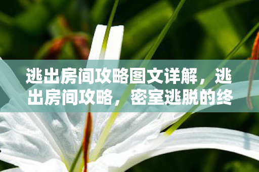 逃出房间攻略图文详解,逃出房间攻略,密室逃脱的终极指南 逃出房间攻略图文详解,逃出房间攻略,密室逃脱的终极指南