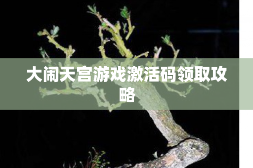 大闹天宫游戏激活码领取攻略