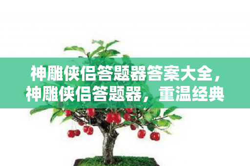 神雕侠侣答题器答案大全,神雕侠侣答题器,重温经典,挑战智慧 神雕侠侣答题器答案大全,神雕侠侣答题器,重温经典,挑战智慧