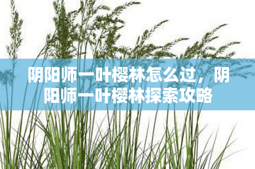 阴阳师一叶樱林怎么过,阴阳师一叶樱林探索攻略 阴阳师一叶樱林怎么过,阴阳师一叶樱林探索攻略