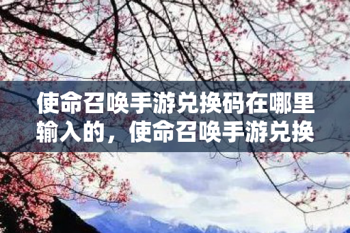 使命召唤手游兑换码在哪里输入的，使命召唤手游兑换码在哪里输入
