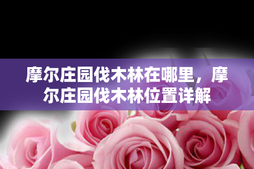摩尔庄园伐木林在哪里,摩尔庄园伐木林位置详解 摩尔庄园伐木林在哪里,摩尔庄园伐木林位置详解
