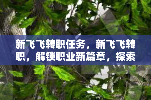 新飞飞转职任务,新飞飞转职,解锁职业新篇章,探索无限可能 新飞飞转职任务,新飞飞转职,解锁职业新篇章,探索无限可能