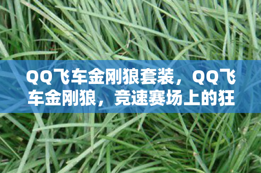 QQ飞车金刚狼套装,QQ飞车金刚狼,竞速赛场上的狂野传说 QQ飞车金刚狼套装,QQ飞车金刚狼,竞速赛场上的狂野传说
