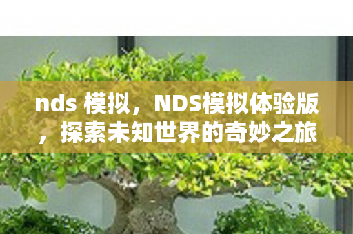 nds 模拟,NDS模拟体验版,探索未知世界的奇妙之旅 nds 模拟,NDS模拟体验版,探索未知世界的奇妙之旅