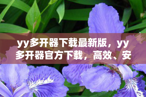 yy多开器下载最新版，yy多开器官方下载，高效、安全、稳定的官方渠道