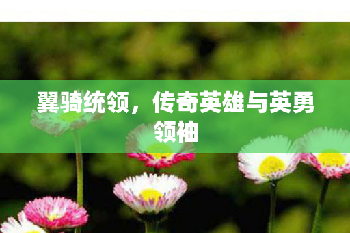 翼骑统领,传奇英雄与英勇领袖 翼骑统领,传奇英雄与英勇领袖