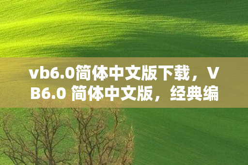vb6.0简体中文版下载,VB6.0 简体中文版,经典编程语言的传承与革新 vb6.0简体中文版下载,VB6.0 简体中文版,经典编程语言的传承与革新