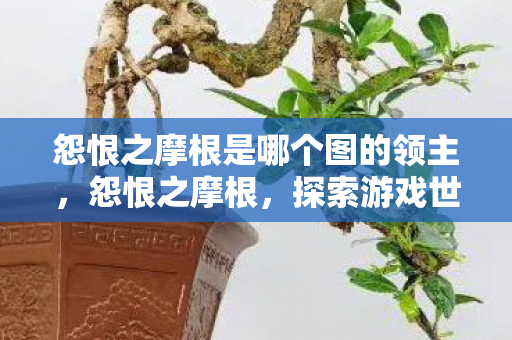 怨恨之摩根是哪个图的领主,怨恨之摩根,探索游戏世界中的不公与冲突 怨恨之摩根是哪个图的领主,怨恨之摩根,探索游戏世界中的不公与冲突