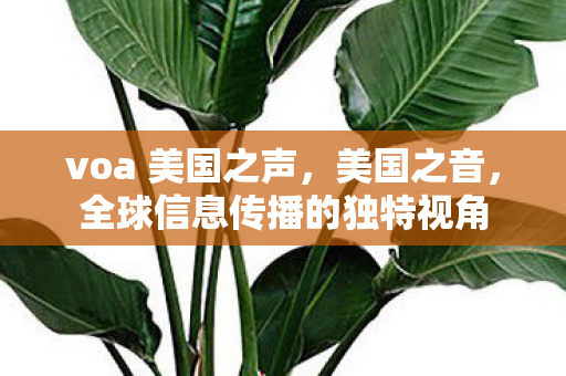 voa 美国之声,美国之音,全球信息传播的独特视角 voa 美国之声,美国之音,全球信息传播的独特视角