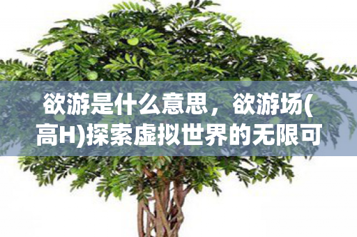 欲游是什么意思,欲游场(高H)探索虚拟世界的无限可能 欲游是什么意思,欲游场(高H)探索虚拟世界的无限可能