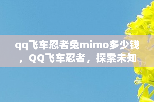 qq飞车忍者兔mimo多少钱，QQ飞车忍者，探索未知的世界