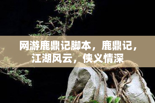 网游鹿鼎记脚本，鹿鼎记，江湖风云，侠义情深