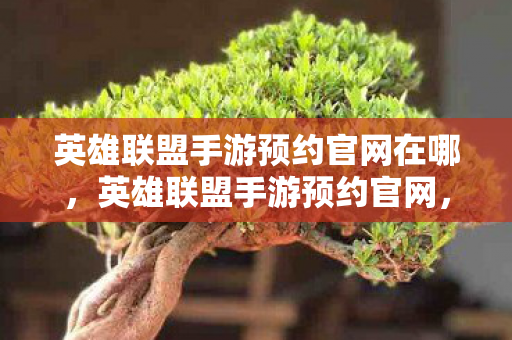 英雄联盟手游预约官网在哪，英雄联盟手游预约官网，开启你的指尖竞技之旅