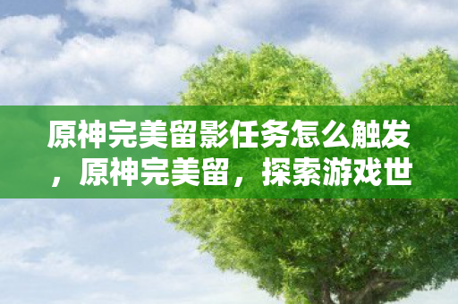 原神完美留影任务怎么触发,原神完美留,探索游戏世界的无限可能 原神完美留影任务怎么触发,原神完美留,探索游戏世界的无限可能