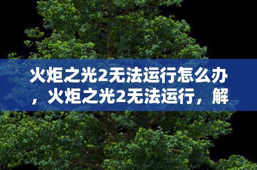 火炬之光2无法运行怎么办,火炬之光2无法运行,解决游戏启动问题的全面指南 火炬之光2无法运行怎么办,火炬之光2无法运行,解决游戏启动问题的全面指南