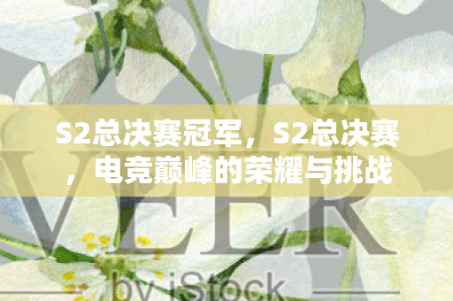 S2总决赛冠军,S2总决赛,电竞巅峰的荣耀与挑战 S2总决赛冠军,S2总决赛,电竞巅峰的荣耀与挑战