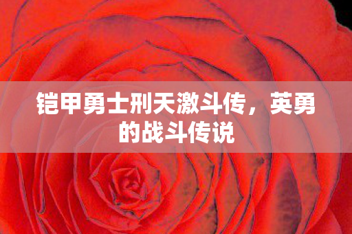 铠甲勇士刑天激斗传，英勇的战斗传说