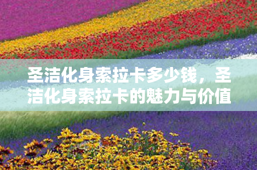 圣洁化身索拉卡多少钱,圣洁化身索拉卡的魅力与价值 圣洁化身索拉卡多少钱,圣洁化身索拉卡的魅力与价值