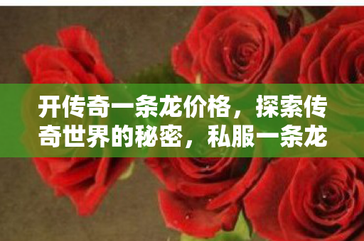 开传奇一条龙价格，探索传奇世界的秘密，私服一条龙服务全解析