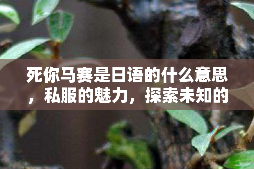死你马赛是日语的什么意思,私服的魅力,探索未知的游戏世界 死你马赛是日语的什么意思,私服的魅力,探索未知的游戏世界