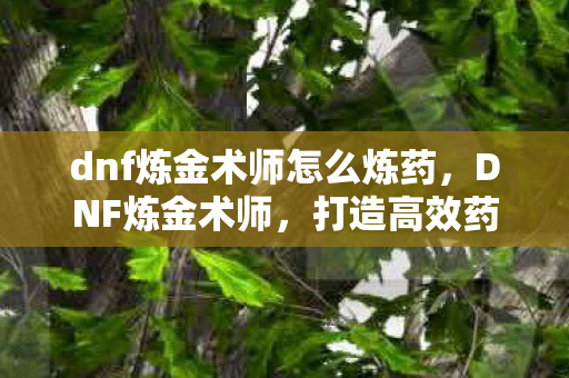 dnf炼金术师怎么炼药,DNF炼金术师,打造高效药剂的秘诀 dnf炼金术师怎么炼药,DNF炼金术师,打造高效药剂的秘诀