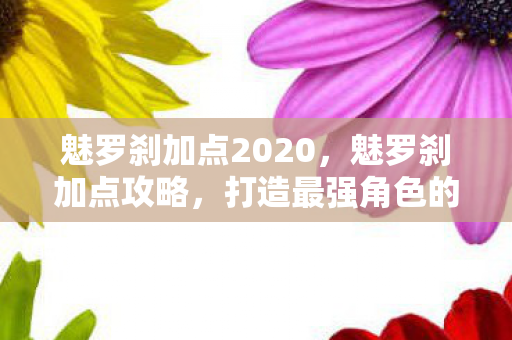 魅罗刹加点2020,魅罗刹加点攻略,打造最强角色的关键步骤 魅罗刹加点2020,魅罗刹加点攻略,打造最强角色的关键步骤