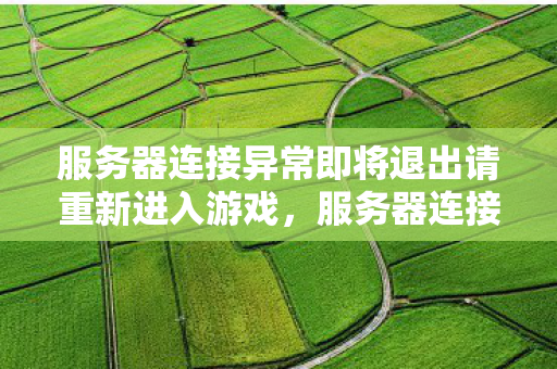 服务器连接异常即将退出请重新进入游戏，服务器连接异常，探索游戏运营的幕后挑战