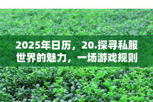 2025年日历,20.探寻私服世界的魅力,一场游戏规则的另类探索 2025年日历,20.探寻私服世界的魅力,一场游戏规则的另类探索