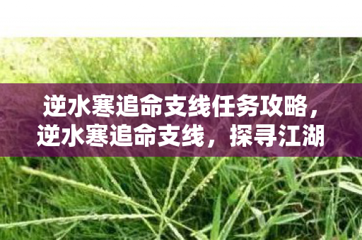 逆水寒追命支线任务攻略图片