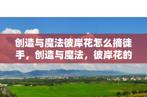 创造与魔法彼岸花怎么摘徒手,创造与魔法,彼岸花的神秘摘取之旅 创造与魔法彼岸花怎么摘徒手,创造与魔法,彼岸花的神秘摘取之旅