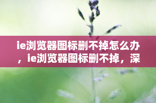 ie浏览器图标删不掉怎么办，ie浏览器图标删不掉，深度解析与解决方案